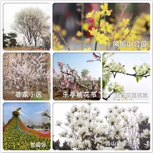 一封辞职信火遍整个日照,又一封辞职信刷爆朋友圈