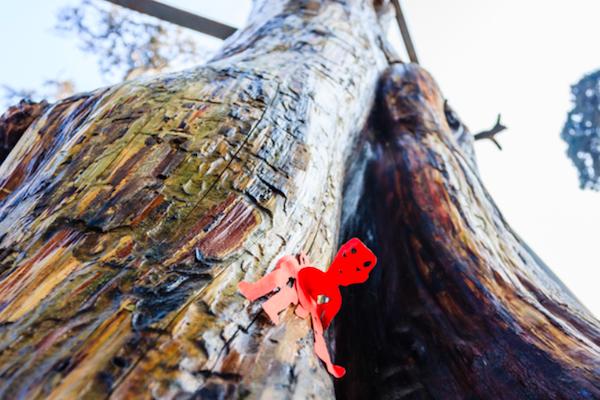 生活十大禁忌农村,中国农村十大禁忌