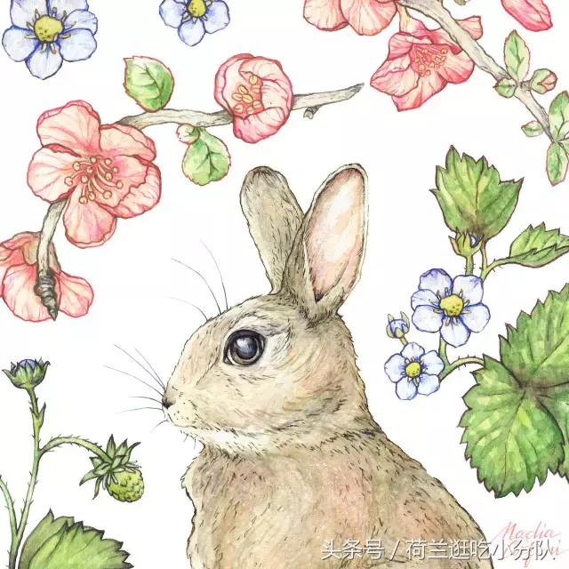 美呆了!最正宗的欧式复活节彩蛋和萌兔就该这样搞!(值得收藏)