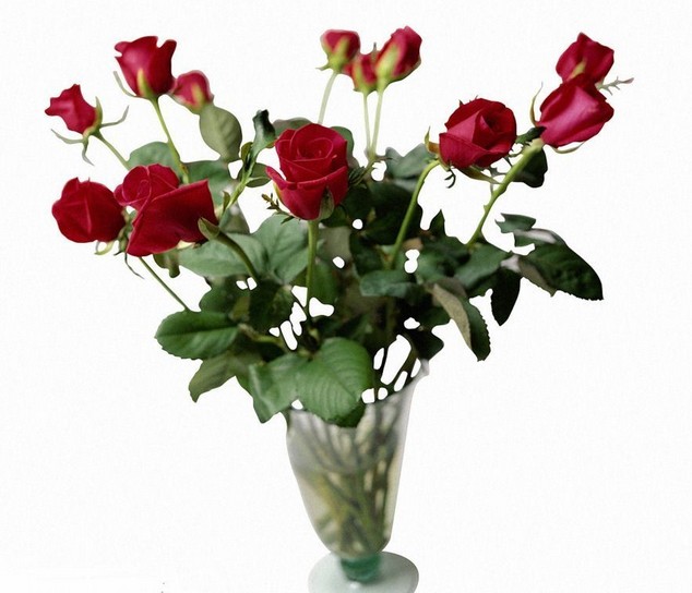 一个成熟的花店该如何运营,零基础教你如何开好一家花店