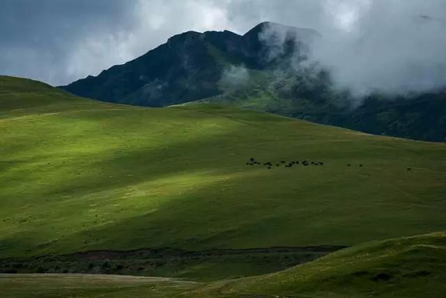 四川不可不去的十个景区,四川湿地风景区