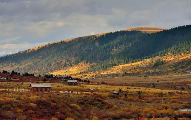 四川不可不去的十个景区,四川湿地风景区