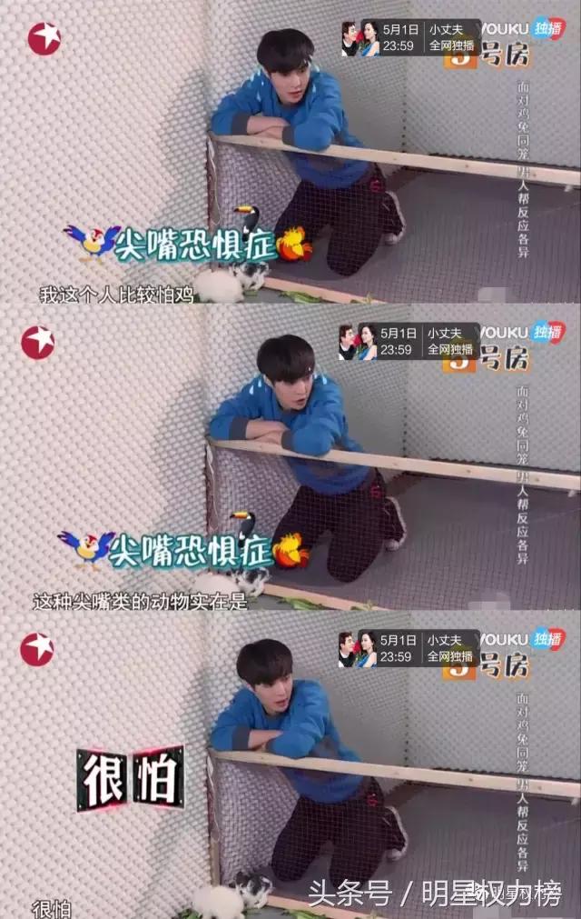 天了噜！王俊凯怕虫子，张艺兴有尖嘴恐惧症？男星“软肋”也很多