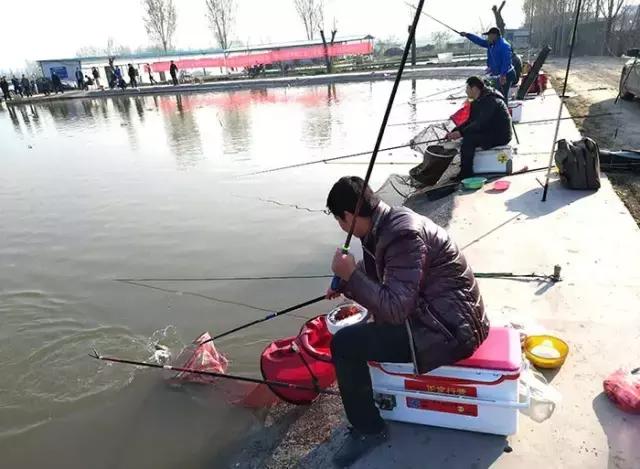 河北垂钓大赛,河北省第十六届省运会钓鱼比赛
