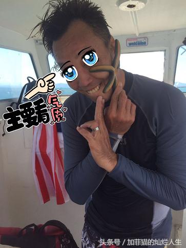 马来西亚亚庇到美人鱼岛,亚庇美人鱼岛游记