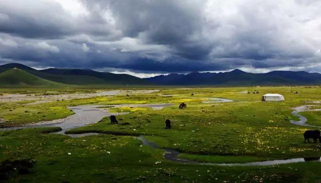四川不可不去的十个景区,四川湿地风景区
