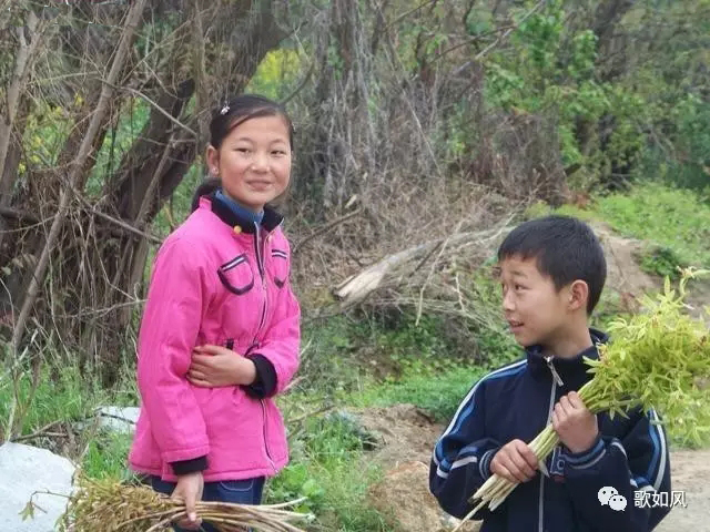 英山大别山主峰和罗田天堂寨景区,黄冈罗田大别山天堂寨旅游区美景