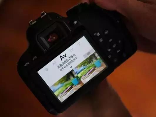 佳能800d与77d哪个更好有什么区别,佳能77d和佳能800d哪个值得入手