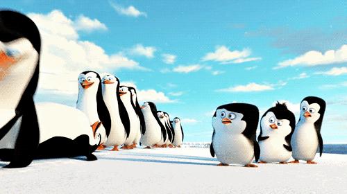 越南男足是什么梗,有哪些不得不说的梗