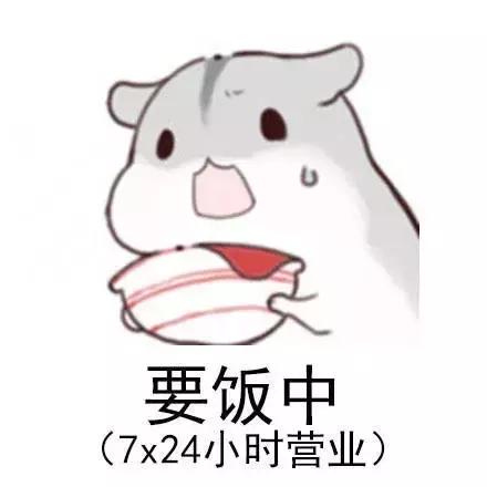 快速了解速8,速8内容简介