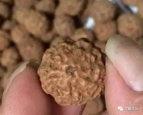 变形金刚假的冒牌货,金刚如何辨别品种和品相