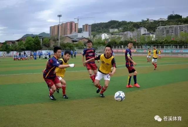 苍溪文化旅游体育,加强体育文化与全民健身