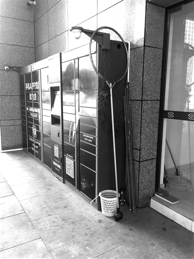 禁止小区养狗养鸡的通知,杭州禁止养的宠物猫