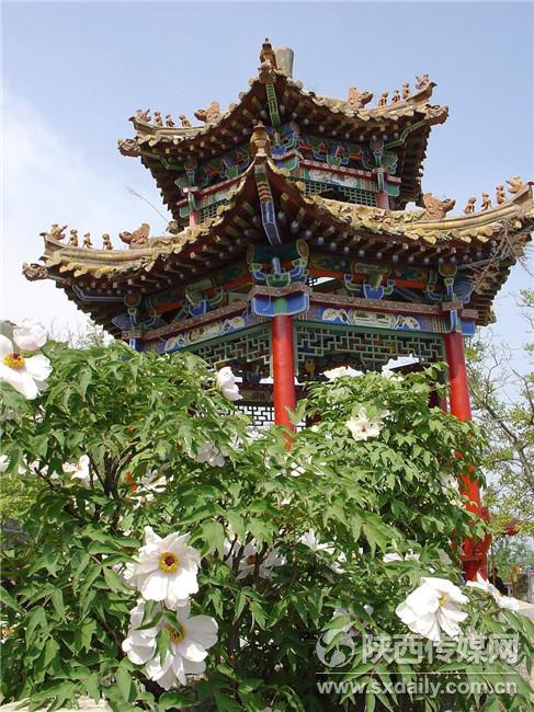 阿姑泉牡丹苑一日游攻略,阿姑泉牡丹苑要门票吗