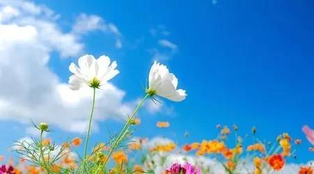 北京文艺频道节目表周二回放,北京文艺播报2006年