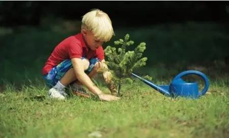 清明节气古诗词,今日清明时间