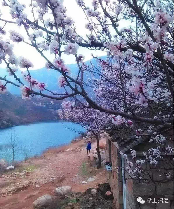 招远地名来历,招远地名大全