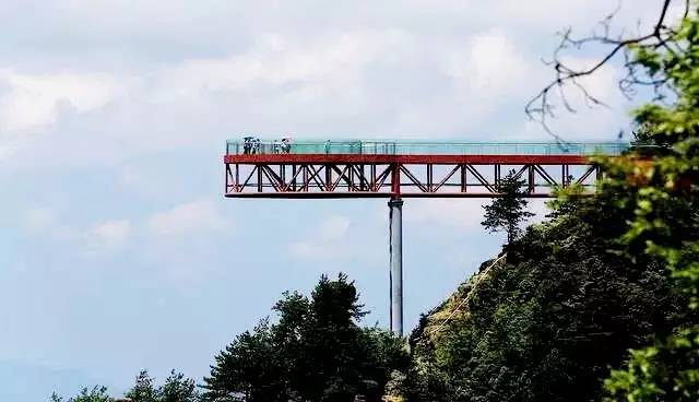 玻璃滑道断裂游客险坠落后续,景区玻璃栈道发生事故