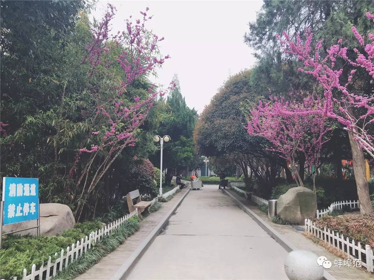 安徽蚌埠最出名的医院,蚌埠淮委医院现在叫什么