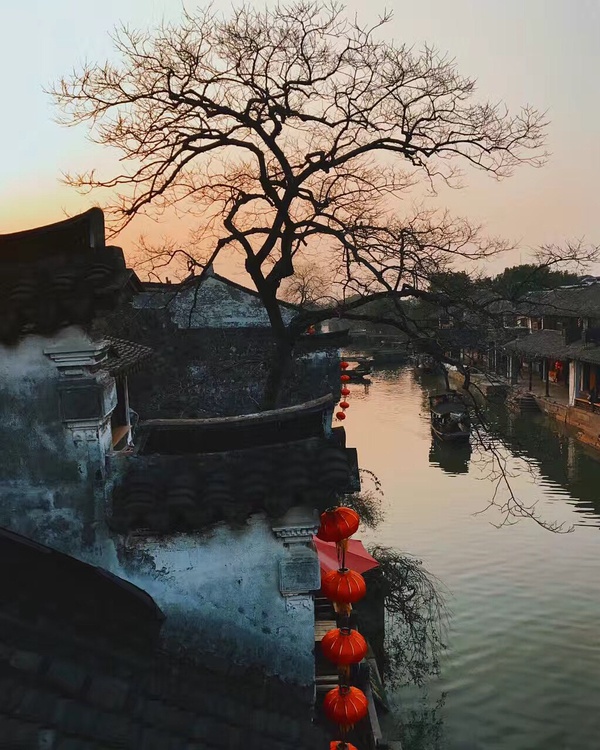 春季手机摄影大赛,摄影有哪些大赛