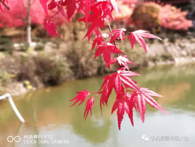 你一定要知道的夜景拍摄教程,怎样拍夜景才能人像清晰背景明亮