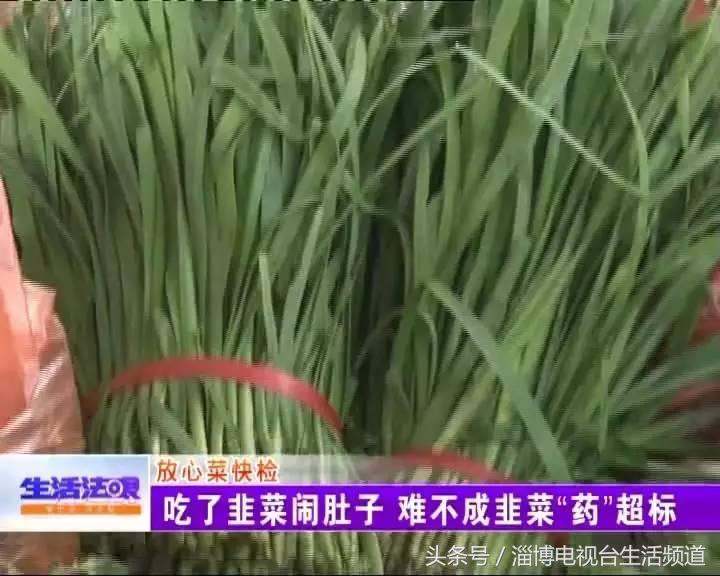 有些人吃了韭菜拉肚子咋回事,儿童吃韭菜上吐下泻