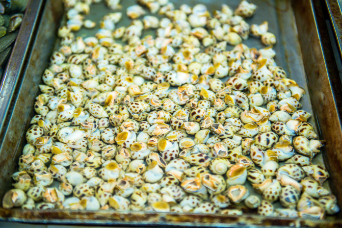 蓝天白云,椰风海韵,去三亚散散心吧