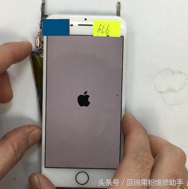 iphone7开机循环白苹果闪屏,iphone7开机一直显示黑苹果怎么办