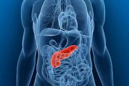 乔布斯抗癌书籍,乔布斯怎么抗癌