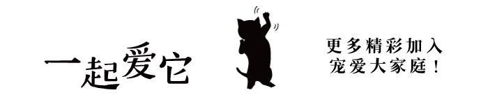 宠爱每一个故事,宠爱故事梗概