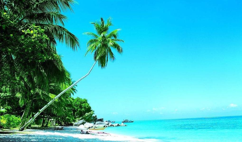 马来西亚适合投资什么产业,马来西亚商机最新信息