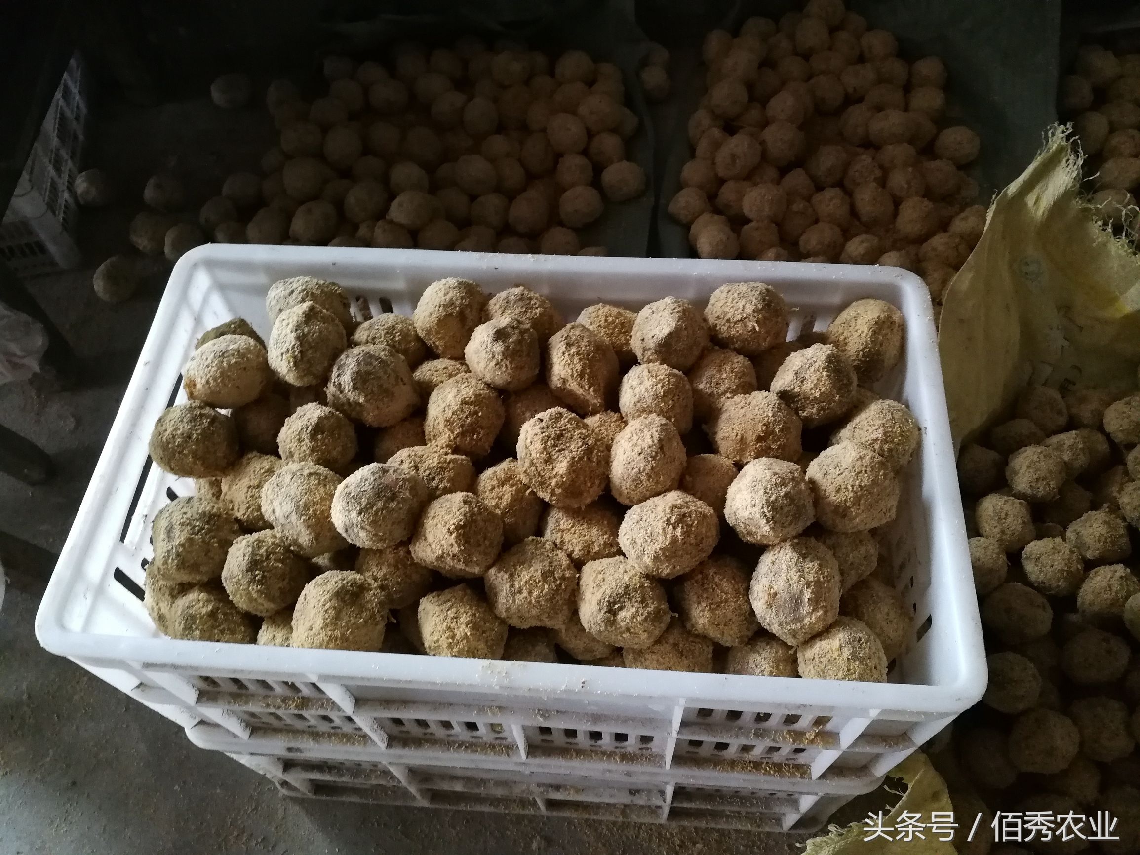 变蛋五毛钱,烧变蛋治拉肚子吗