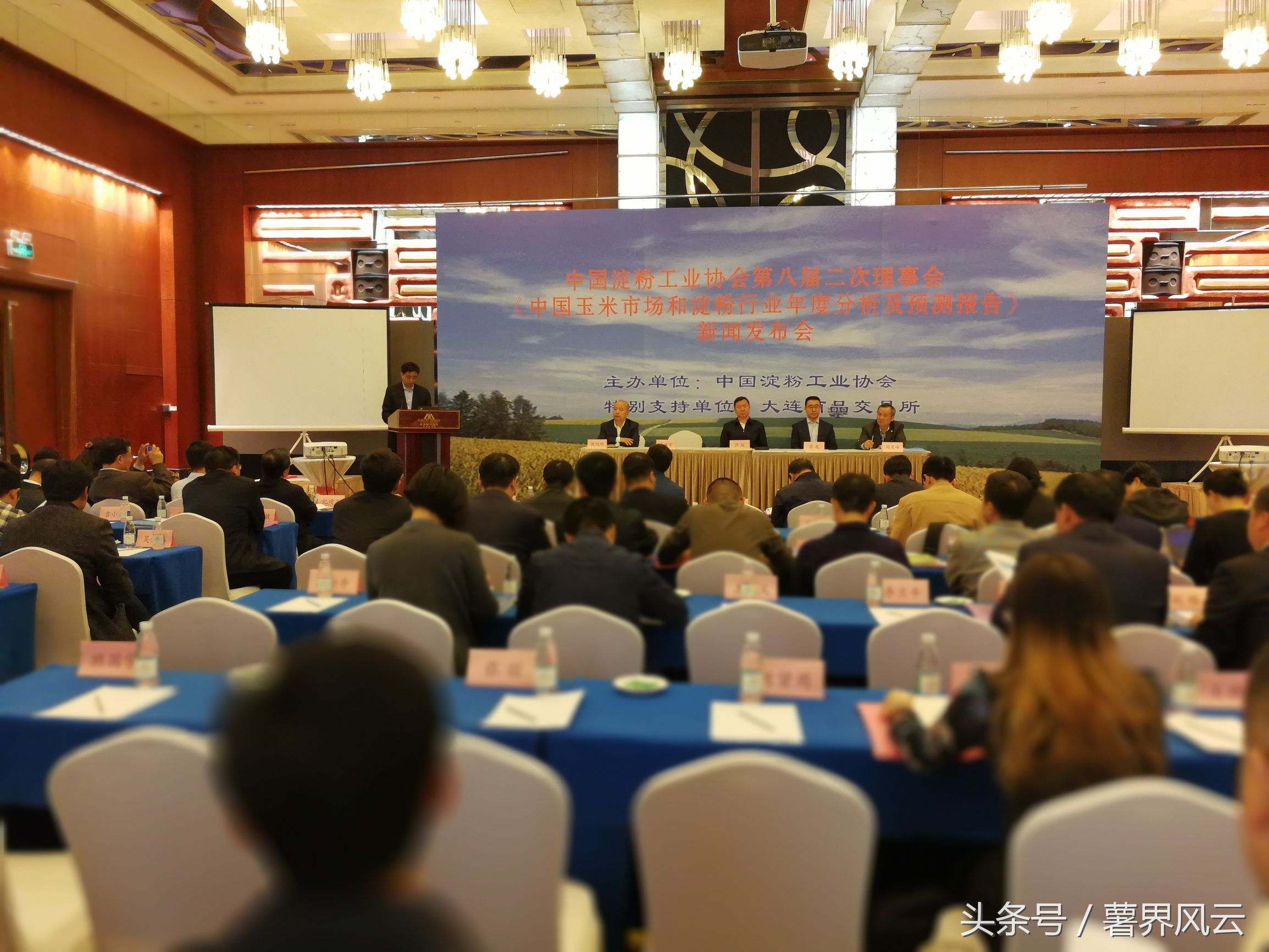 2024年玉米淀粉市场行情分析,玉米淀粉供需分析