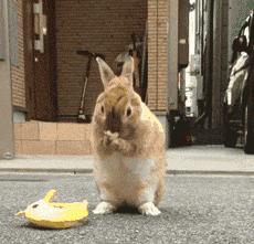 我的地盘听我的,我的地盘听我的翻唱现场