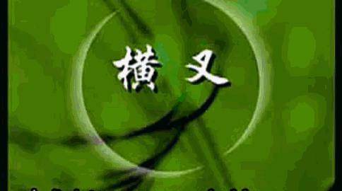 养生武术练习,少林武术基本功压腿