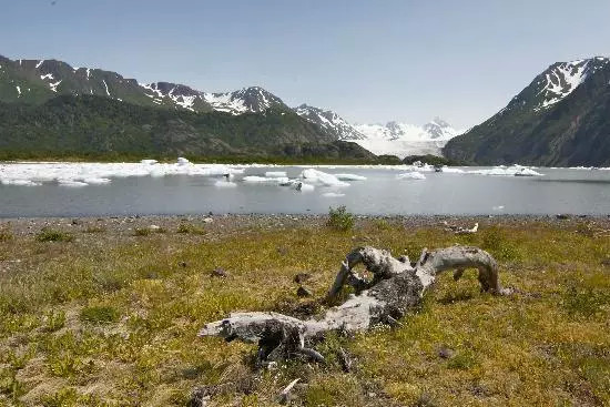 全美风景最美的国家公园,全美50大州立公园