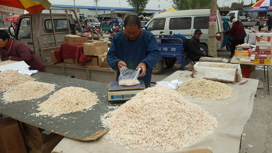 唐山市乐亭县大集,河北唐山乐亭大集