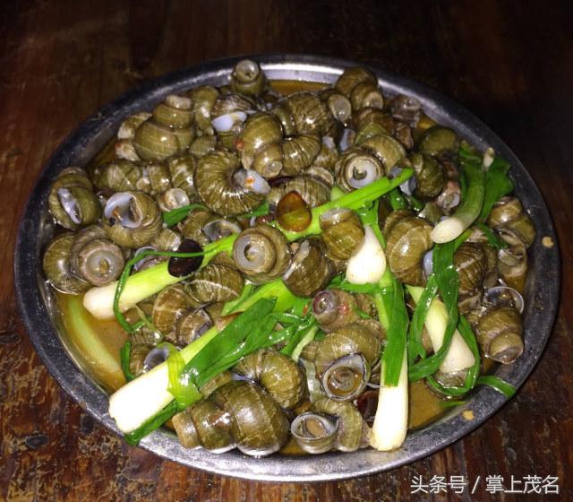 跟美女小编扫遍茂名小吃，不流口水算我输