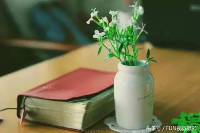 摄影光圈使用技巧,照相光圈如何使用