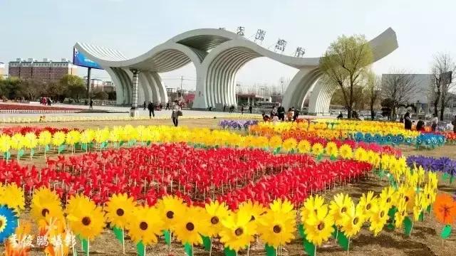 花木博览园一日游,春季游玩博览会