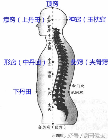 张力是治愈膝关节退化唯一可行的方法