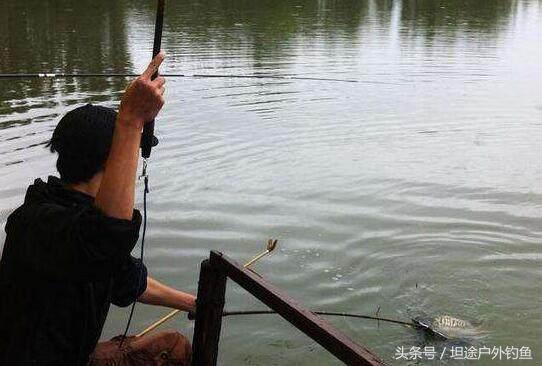 黑坑鲤鱼4.8浮漂选择几克合适,钓鲤鱼浮漂的正确选择与使用