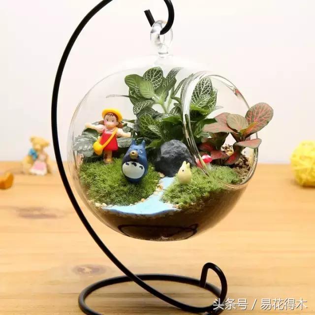 陶瓷花盆适合种什么花,仿瓷的花盆养花好吗