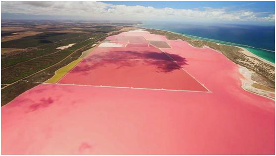 海量原料成本比别人高1-3倍,这家公司咋做生意的?
