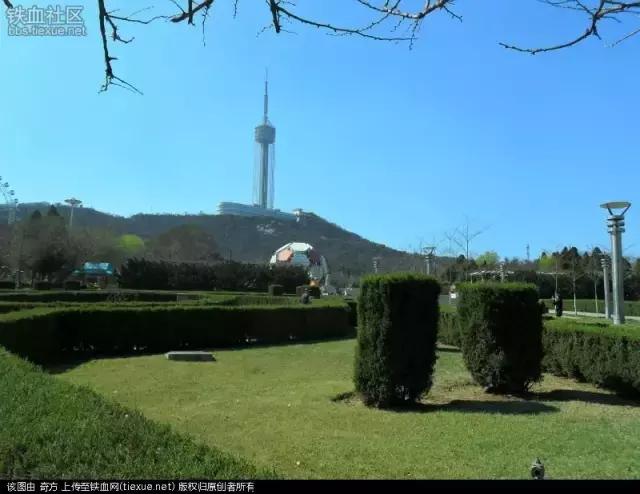 劳动公园大足球内部样子,劳动公园大足球叫什么