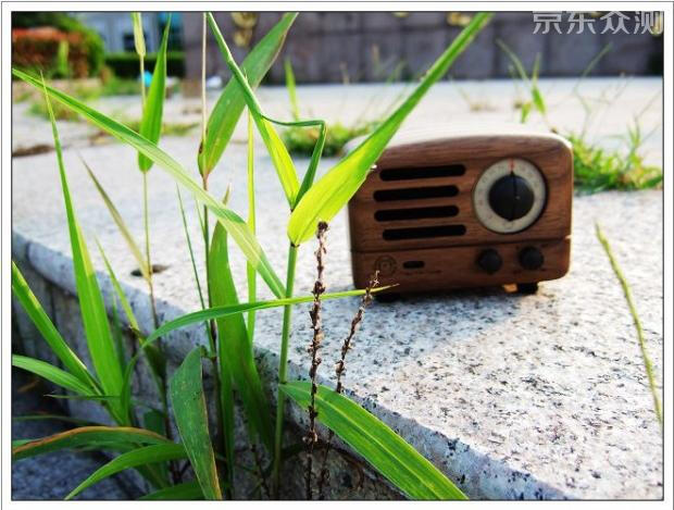 颜质俱佳,书房绝配——猫王小王子体验报告