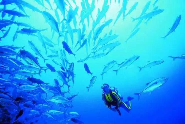 南海明珠岛,南海金银岛甘泉岛