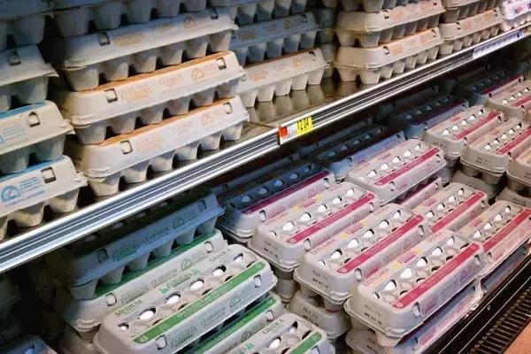 土鸡蛋营养差别不大,土鸡蛋鸭蛋分不清