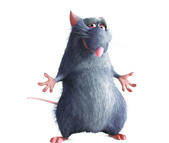 鼠和兔属相做母女合不合,鼠和什么属相最配鼠和兔