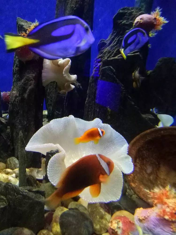 冬天大连看海旅游攻略,冬季到大连去看海